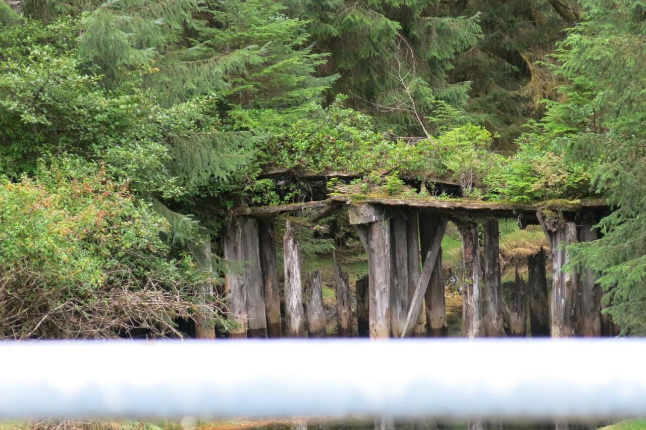 Villa A Shack In The Woods Port Renfrew Esterno foto