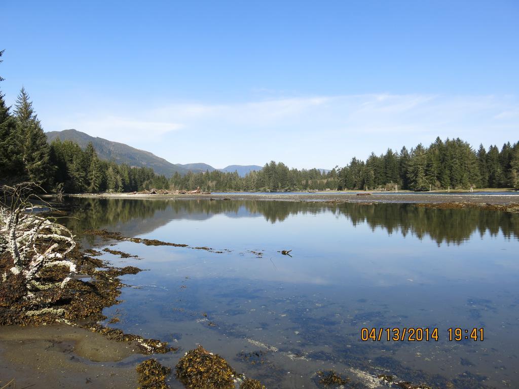 Villa A Shack In The Woods Port Renfrew Camera foto