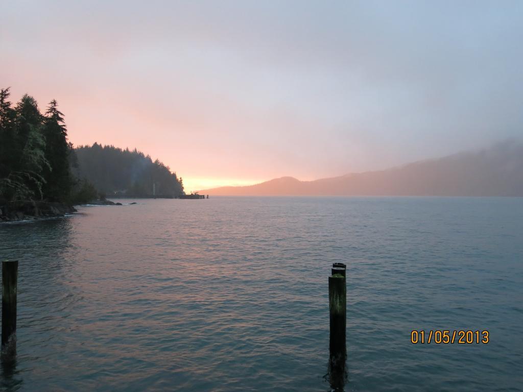 Villa A Shack In The Woods Port Renfrew Camera foto