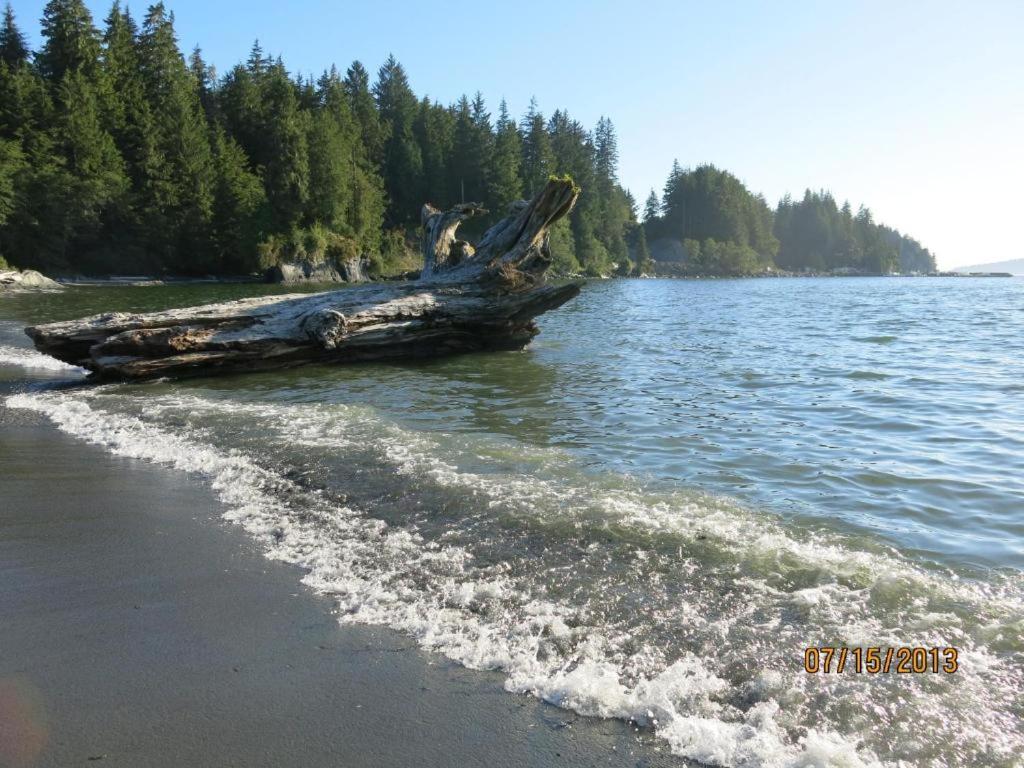 Villa A Shack In The Woods Port Renfrew Esterno foto