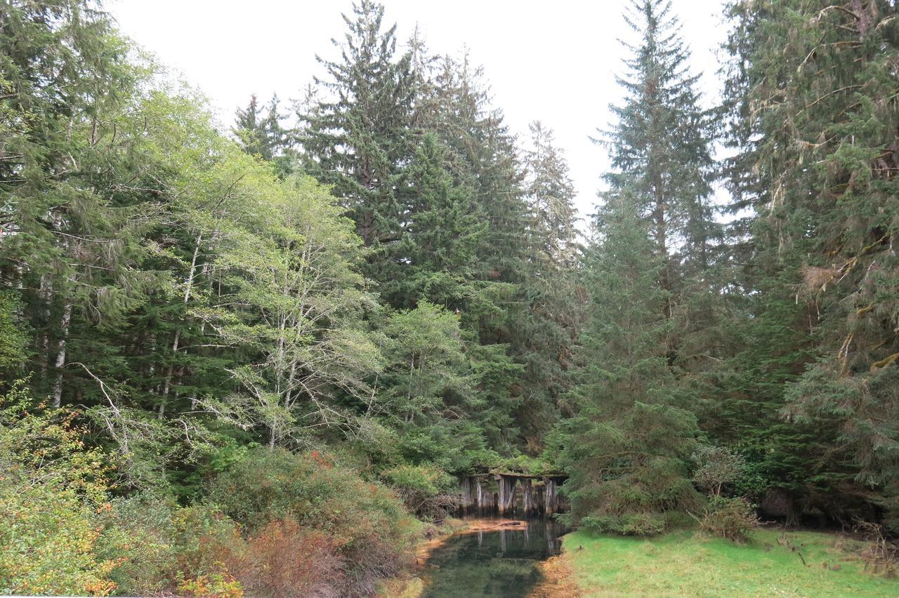 Villa A Shack In The Woods Port Renfrew Esterno foto
