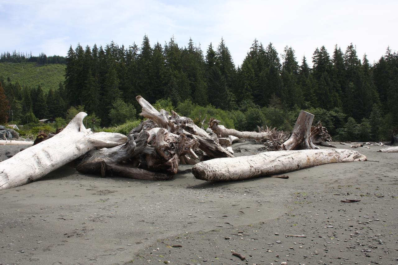 Villa A Shack In The Woods Port Renfrew Esterno foto