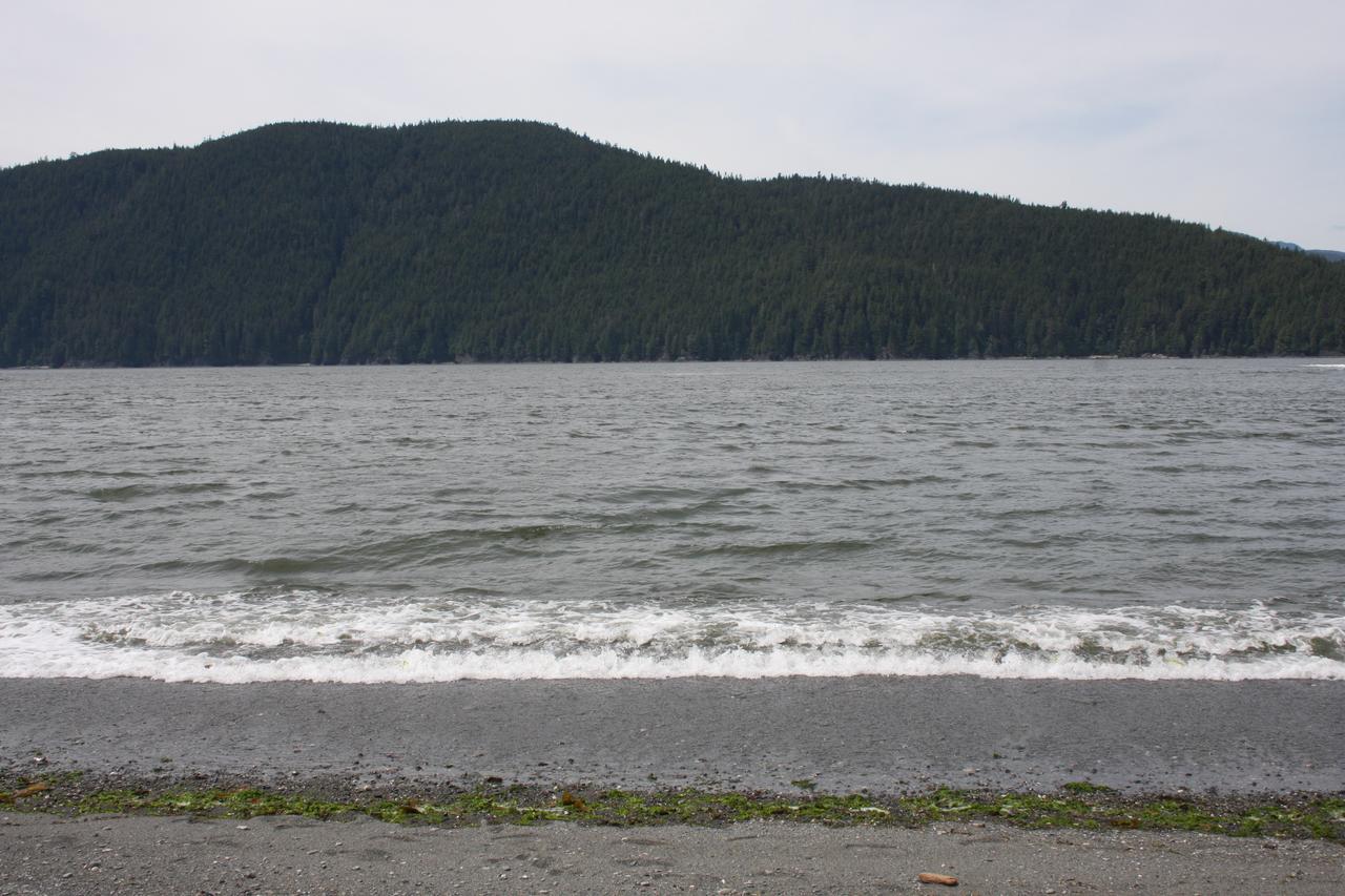 Villa A Shack In The Woods Port Renfrew Esterno foto